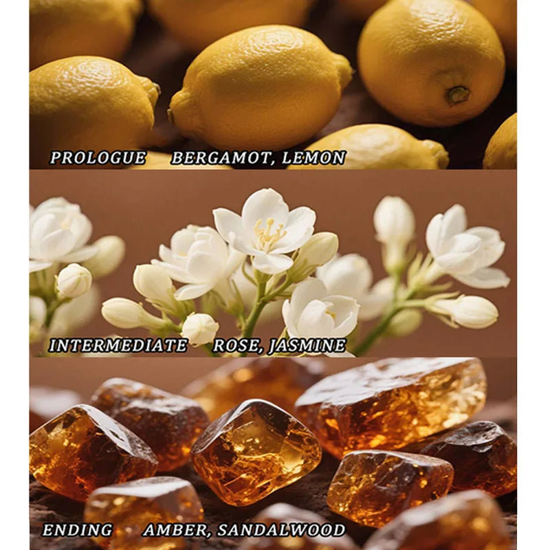 Amber Agarwood Mixed Woody Fragrance For Men